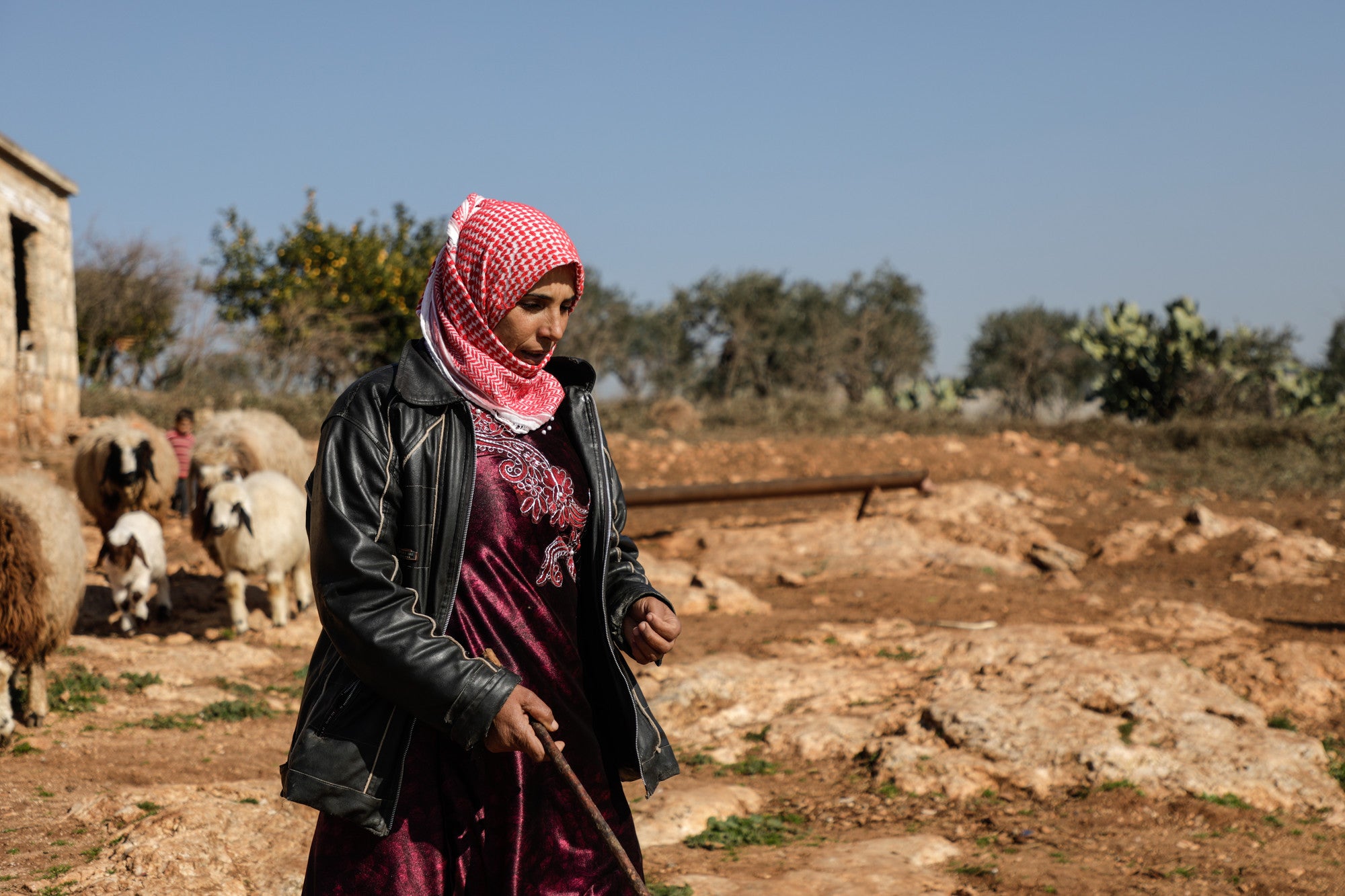 AlJazeera: Syria's war transformed women's roles through empowerment - CARE