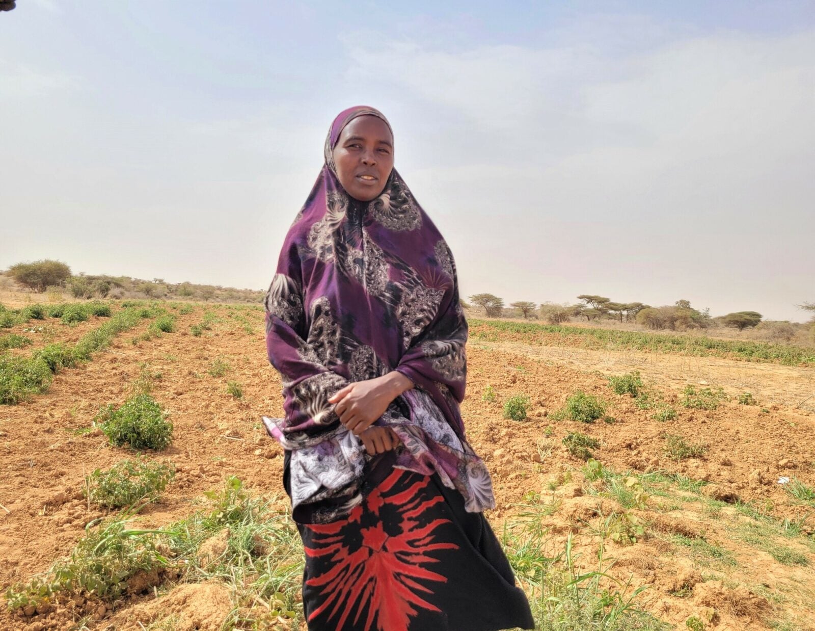 Drought in Somalia: 'If things go on like this, we will also lose our ...