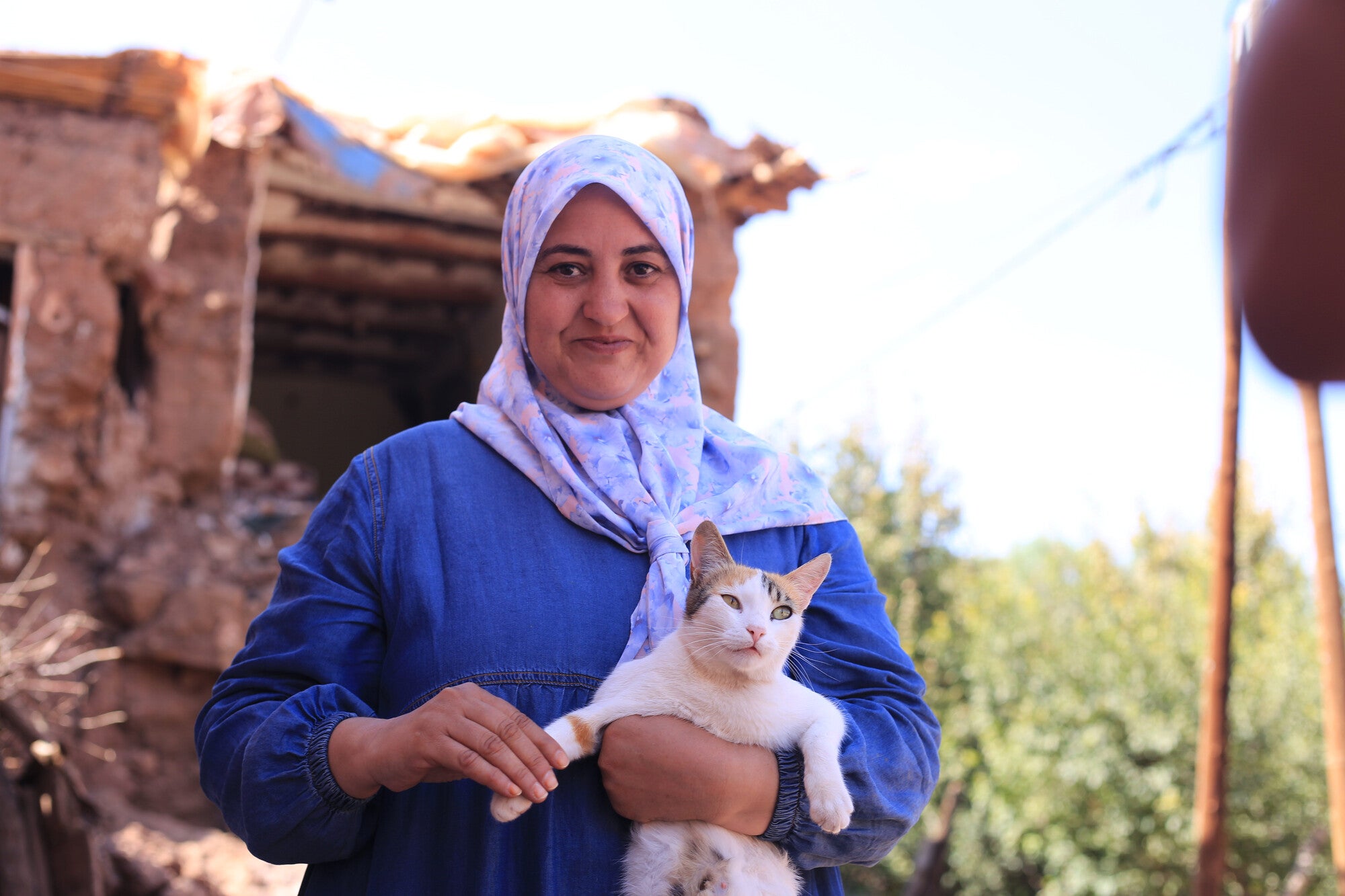 Mimi's Kittens: A symbol of hope in the aftermath of the Morocco earthquake