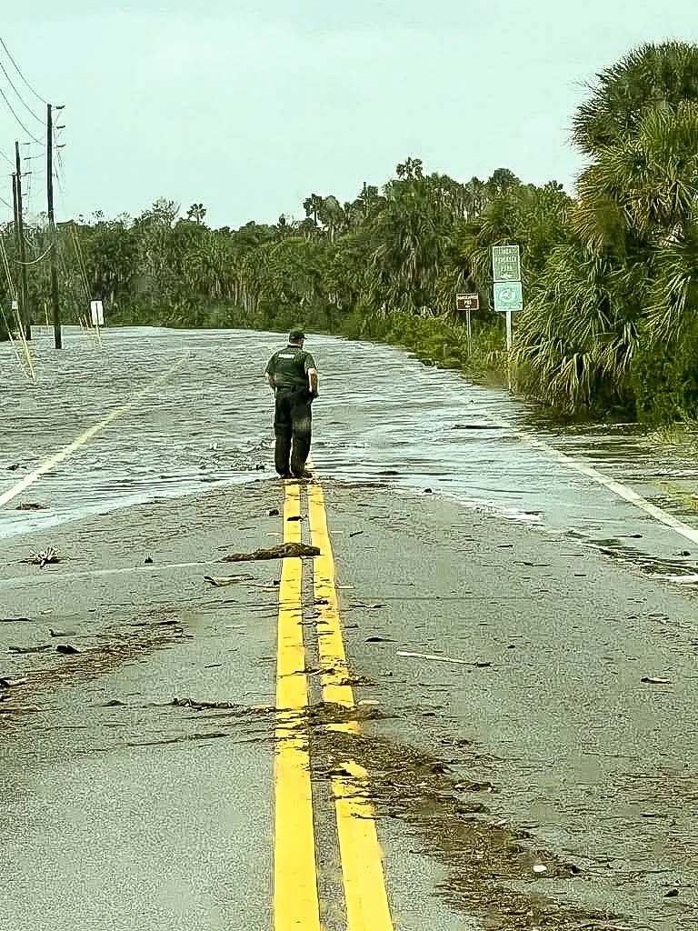 First responder stands in the middle of a flooded road, back to camera.