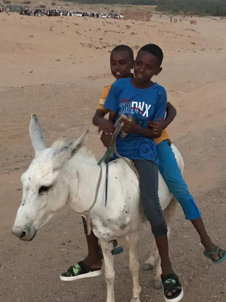 Two boys riding on a white donkey.
