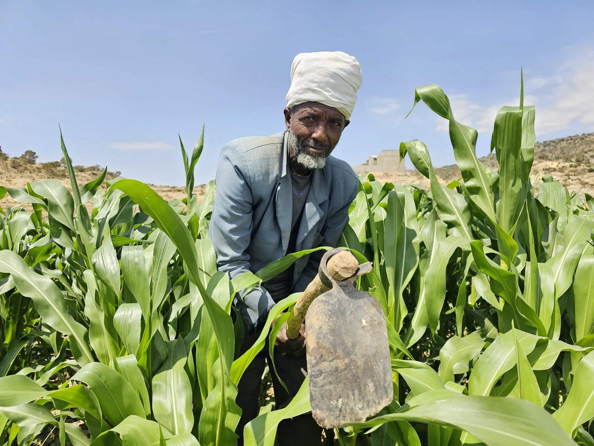 An Ethiopian farmer with turban working in his field with a spade.