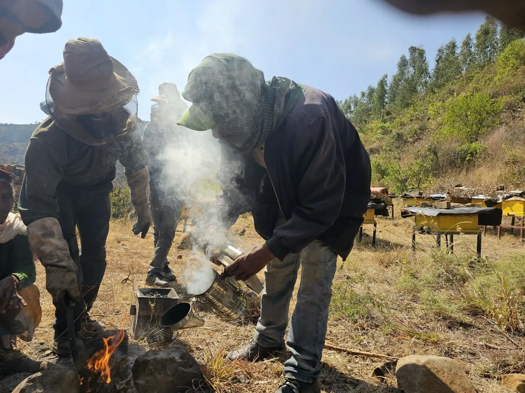 Bee cooperative members creating smoke while wearing protective gear.