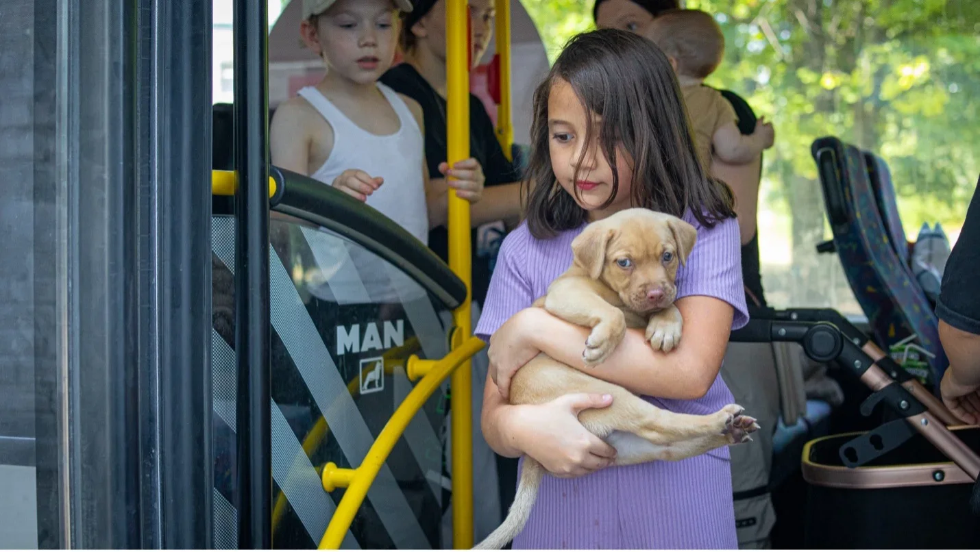 A young girl carries a puppy while stepping off a bus.